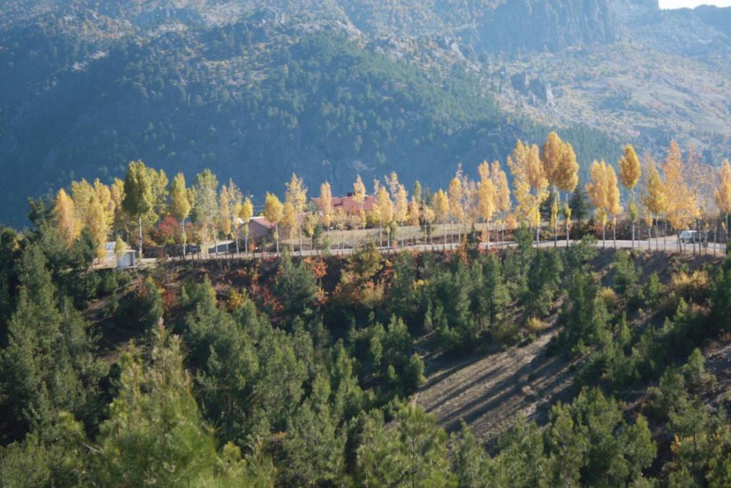 Kasımlar St.Paul Yol Pansiyon מראה חיצוני תמונה